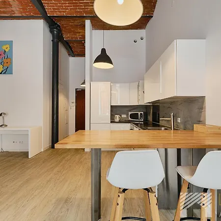 Loft Blue By Lookap Parking Gratis Apartmán Lodž